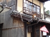 tamayura-74